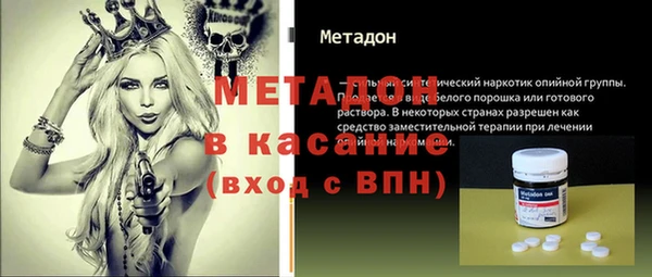 прущие грибы Абинск