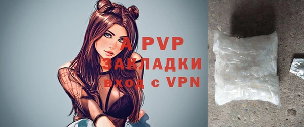 прущие грибы Абинск