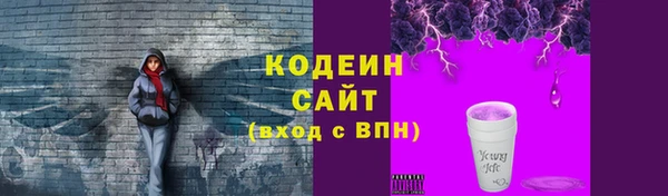 прущие грибы Абинск