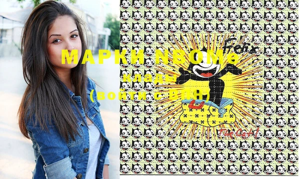 прущие грибы Абинск
