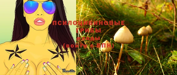 марихуана Абаза